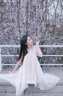 无颜之月第一季动漫全集